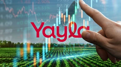 YYLGD hissesi için kritik bilanço: Kâr yüzde 126 arttı