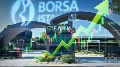 HEKTS sermaye artırımı sonrası BIST endekslerinde yeni dönem