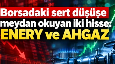 Borsadaki sert düşüşe meydan okuyan iki hisse: ENERY ve AHGAZ