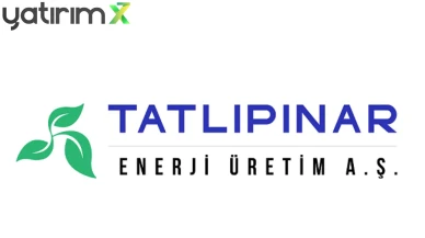 Tatlıpınar Enerji TEİAŞ Davasını Kazandı: Karar Kesinleşti