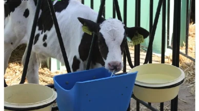 YAPRK Hissedarlarına Piyango: 100 Lot 2.100 Lot Oluyor