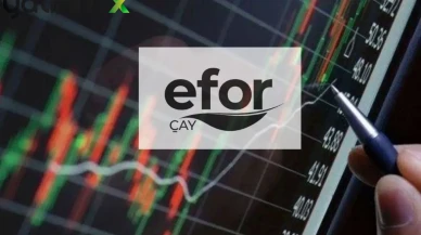 Tarımsal Üretimde EFOR Etkisi: 300 Milyon TL’lik Satış Planı Devrede