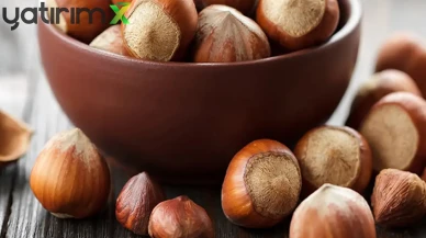 Ticaret Borsalarında 6 Ayda 239 Bin Tona Yakın Fındık İşlem Gördü