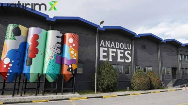 AEFES'ten İki Taksitli Temettü Müjdesi: Tarihler Netleşti!