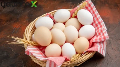 Yumurta Fiyatlarında Mayıs Çukuru Etkisi: İhracat Kotası Artırıldı