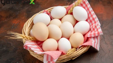 Yumurta Fiyatları Neden Düştü? Bir Ayda Yüzde 25 Gerileme