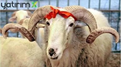 Kurban Bayramı İkramiyeleri Erken mi Yatacak? Bakan Işıkhan Açıkladı