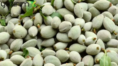 İstanbul'da Mart Ayı Gıda Raporu: Zam Şampiyonu Çağla Oldu