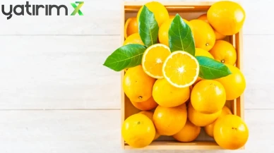 Dalında 80 Liraydı, 50 Liraya Düştü: Limonda Panik Satış