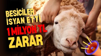 Kurbanlıklar elde kaldı: Besici sektörden çekiliyor
