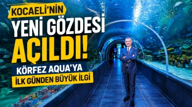 Kocaeli'nin Yeni Gözdesi Açıldı: Körfez Aqua'ya İlk Günden Büyük İlgi