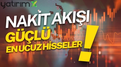 Kasası nakit dolu borçsuz hisseler! İşte en sağlam 24 şirket