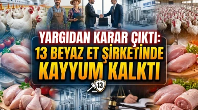 Beyaz et sektöründe 13 şirket için kayyum kararı kaldırıldı