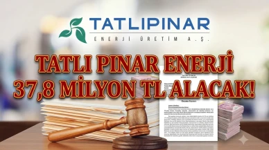 TATEN kazandı: TEİAŞ davasında 37,8 milyon TL'lik iade kesinleşti