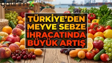 Türkiye’nin yaş meyve sebze ihracatında şeftali dönemi başladı