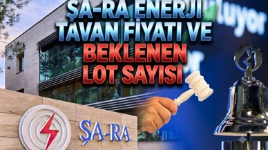 SARAE halka arzında tavan serisi sürüyor: Tavanda kaç lot var?