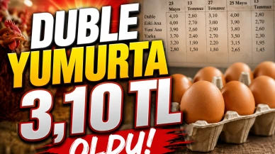 Yumurta fiyatlarında yeni zam: Duble yumurta 3,10 TL'ye çıktı