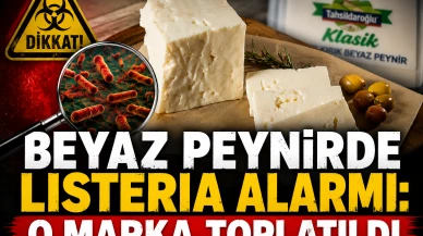 Ünlü peynir markasında Listeria tespit edildi: Toplatma kararı