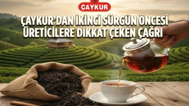 ÇAYKUR'dan üreticiye 2. sürgün uyarısı: Önemli duyuru