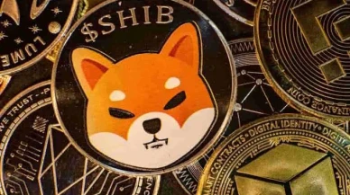 Shiba Coin için kritik gelişme: SHIB'de yükseliş başlayabilir