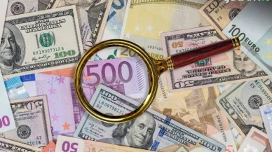 Döviz piyasasında son durum: Dolar/TL 48,46 TL oldu