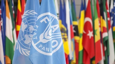 Mehdi Eker'den FAO adaylığı açıklaması: 100 ülke ile temas