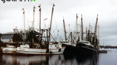 Bakanlık Açıkladı: Bu İllerdeki Balıkçılar Cüzdanları Dolduracak