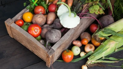 Küresel Gıda Fiyatları Eylül'de Dengelendi: Et Rekoru Kırarken Şeker ve Süt Geriledi