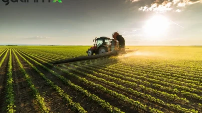 Çiftçinin Maliyeti Durmuyor: Tarım-ÜFE, Ekim 2025'te Yüzde 45,40 Arttı