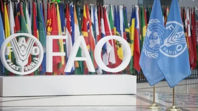 FAO Uyardı: Küresel Gıda Üretimi Rekor Kırıyor, Ancak Riskler Kapıda