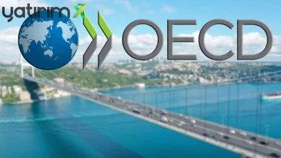 OECD Raporu: Çalışan Emekliler 'Yük' Değil, 'Kazanç' Olmalı! Kısıtlamalar Kalksın Çağrısı