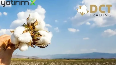 DCTTR Pamukta Güçleniyor: 306 Milyon TL'lik Alım, 153 Milyon TL'lik Satış