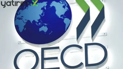 OECD'e göre Türkiye Ekonomisi, 21 Çeyrek Büyüme Serisiyle G20'de İlk 5'te