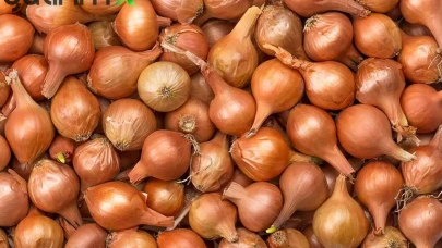 Soğan Üreticileri Eylemi Bakanlık Müdahalesiyle İptal Edildi