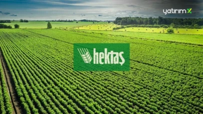 Hektaş (HEKTS) Hisse Yorumu ve 2025 Hedef Fiyat Analizi