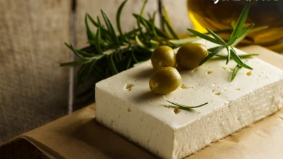 Türkiye sofralık zeytin üretiminde zirveye yerleşti