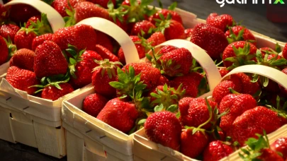 Meyvede Alarm Zilleri: Fiyatlar Katlanacak, Ürün Kalmadı..