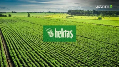 HEKTS Hedef Fiyat & Teknik Görünüm Raporu