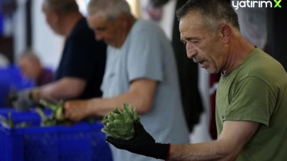 20 Erkek Ekip, Enginar Soyarak Makineleri Geride Bırakarak Günlük 2.500 TL Kazanıyor!