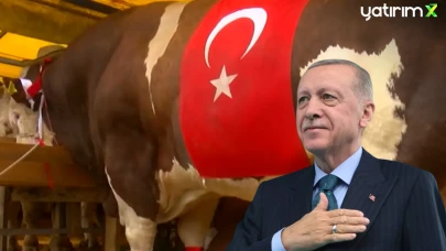 Gündem Oldu! 540 Bin Lira Değerindeki 1,5 Tonluk Kurbanlık Cumhurbaşkanı'na Hediye Edilmek İsteniyor