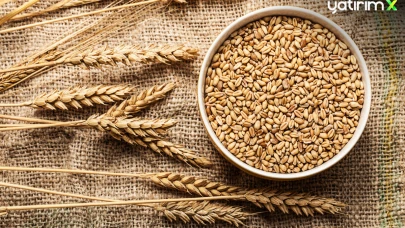 2025 Hububat Hasat Sezonunda Üreticileri Sevindiren Fiyatlar Açıklandı: Buğday ve Arpa Ne Kadar Oldu?