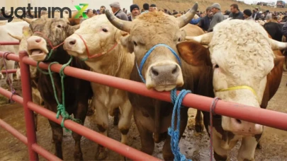 Kurban bayramı namazı saat kaçta? Kocaeli, Sakarya, Bolu, İstanbul..Kurban Bayramı namazı saati..