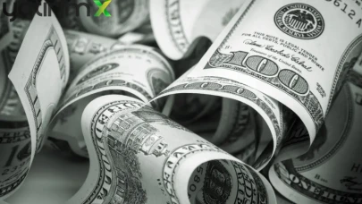 Türkiye'nin Yatırım Pozisyonu Açığı Derinleşti! 343,9 Milyar Dolar