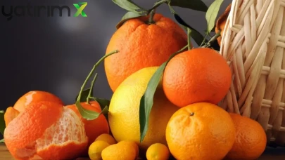 İstanbul’un 2025 Sofrası: Şampiyonlar Mandalina ve Domates Oldu!