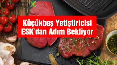 Et ve Süt Kurumu Piyasayı Dengeleyecek mi? TÜRKYED’ten Açıklama