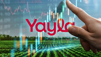 YYLGD hissesi için kritik bilanço: Kâr yüzde 126 arttı