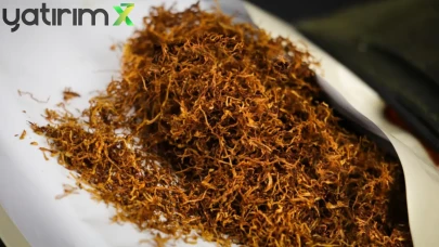 Yaprak Sigara Kağıdı Üretiminde Yeni Dönem: Düz Paket Zorunluluğu