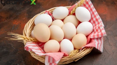Yumurta Fiyatları Neden Düştü? Bir Ayda Yüzde 25 Gerileme