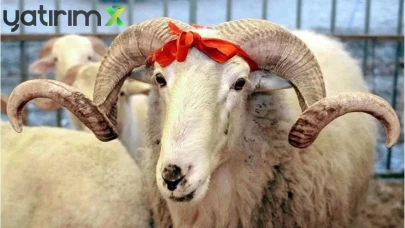 Kurban Bayramı İkramiyeleri Erken mi Yatacak? Bakan Işıkhan Açıkladı