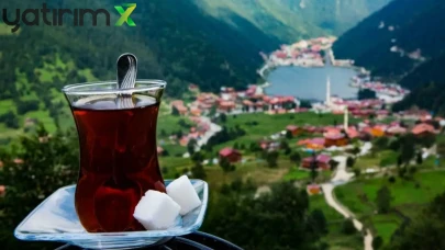 Cari Açığa Karadeniz Kalkanı: İthalat Düşük, Getiri Yüksek